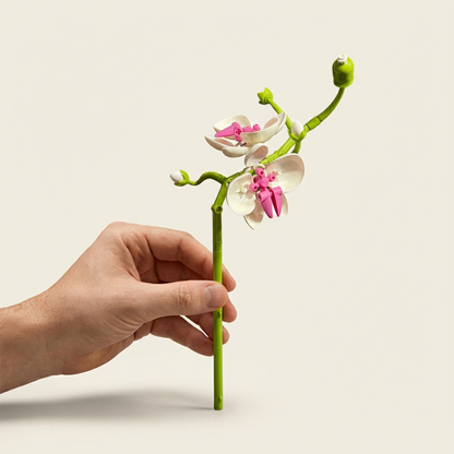 Cadeau bloem met persoonlijke boodschap