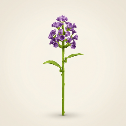 Cadeau bloem met persoonlijke boodschap
