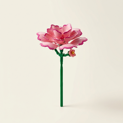 Cadeau bloem met persoonlijke boodschap