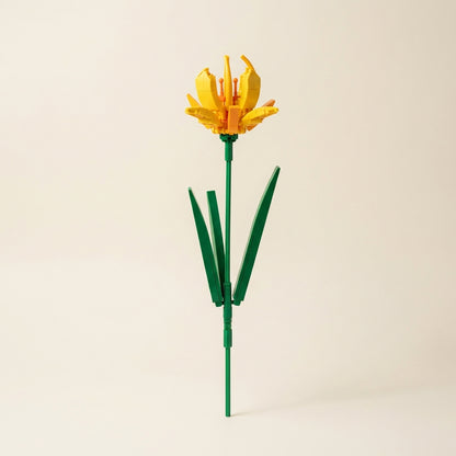 Cadeau bloem met persoonlijke boodschap